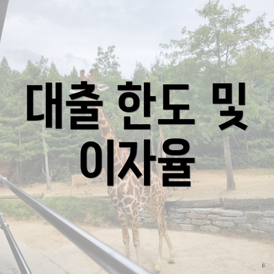 대출 한도 및 이자율