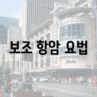 보조 항암 요법