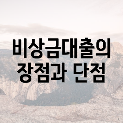 비상금대출의 장점과 단점