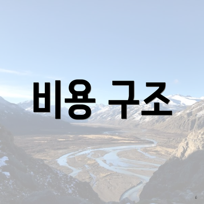 비용 구조