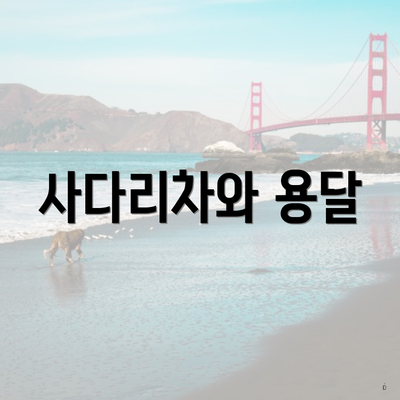 사다리차와 용달