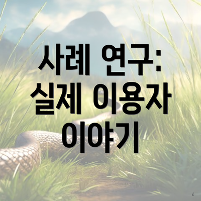 사례 연구: 실제 이용자 이야기