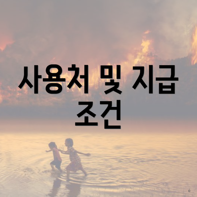 사용처 및 지급 조건