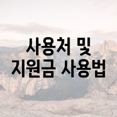 사용처 및 지원금 사용법