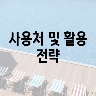 사용처 및 활용 전략