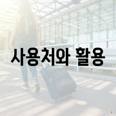 사용처와 활용