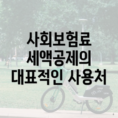 사회보험료 세액공제의 대표적인 사용처