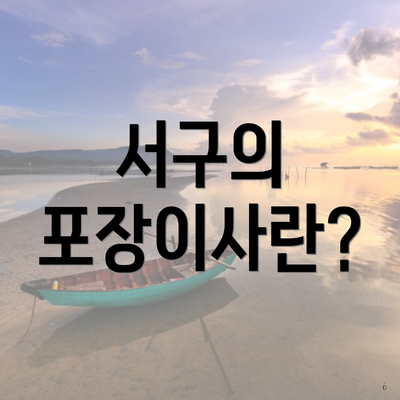 서구의 포장이사란?