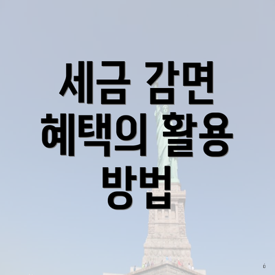 세금 감면 혜택의 활용 방법