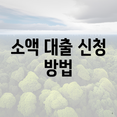 소액 대출 신청 방법