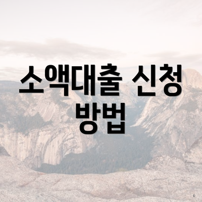 소액대출 신청 방법