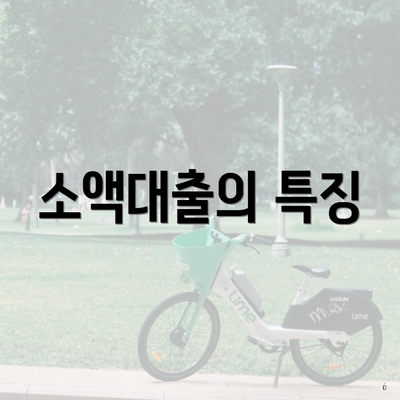 소액대출의 특징