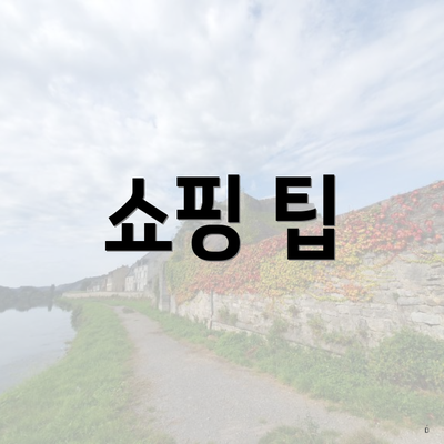 쇼핑 팁