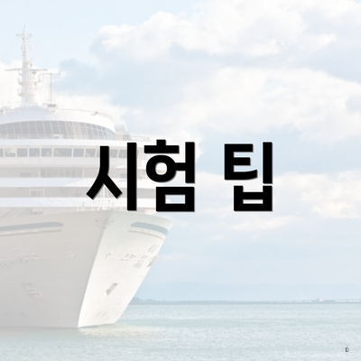 시험 팁