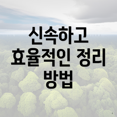 신속하고 효율적인 정리 방법