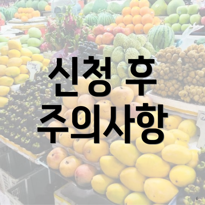 신청 후 주의사항