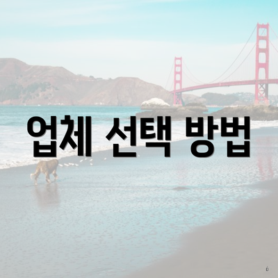 업체 선택 방법