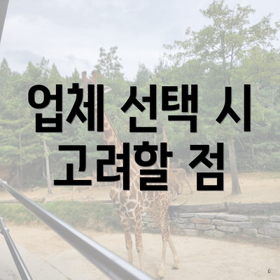 업체 선택 시 고려할 점