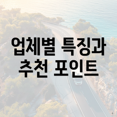 업체별 특징과 추천 포인트