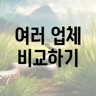 여러 업체 비교하기