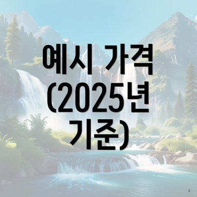 예시 가격 (2025년 기준)