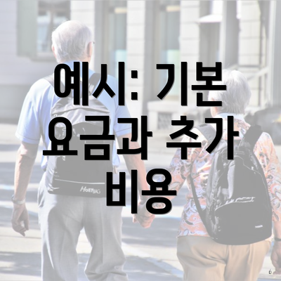 예시: 기본 요금과 추가 비용