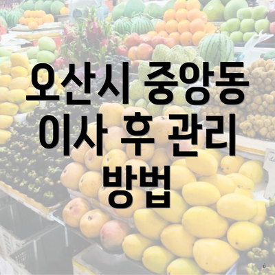 오산시 중앙동 이사 후 관리 방법