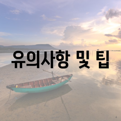 유의사항 및 팁