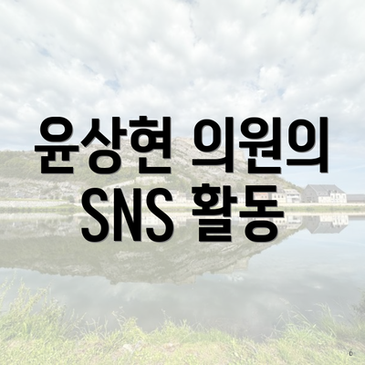 윤상현 의원의 SNS 활동