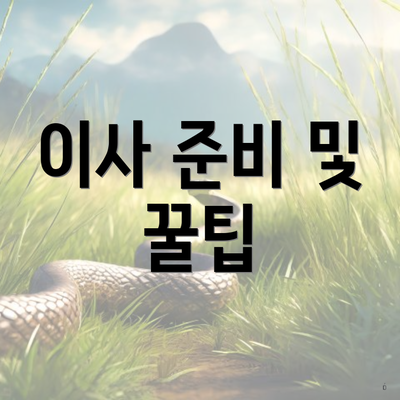 이사 준비 및 꿀팁