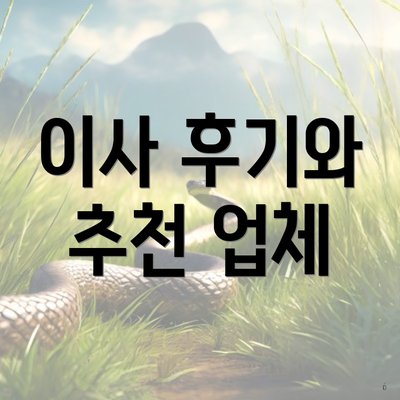 이사 후기와 추천 업체