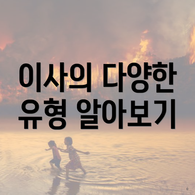 이사의 다양한 유형 알아보기