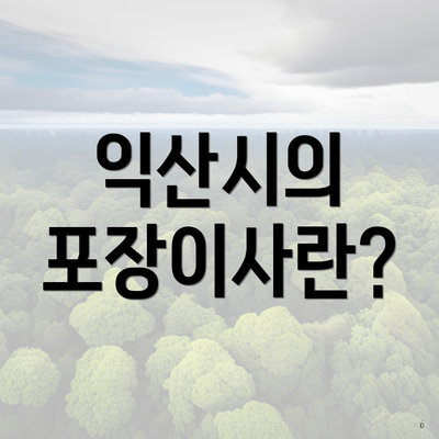 익산시의 포장이사란?