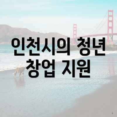 인천시의 청년 창업 지원