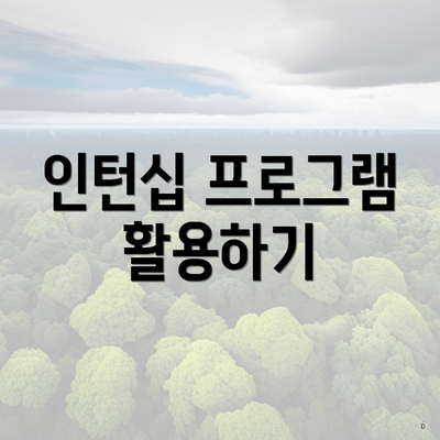 인턴십 프로그램 활용하기