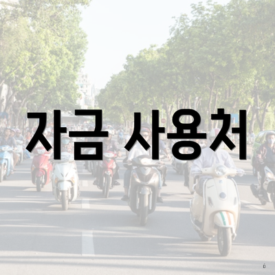 자금 사용처