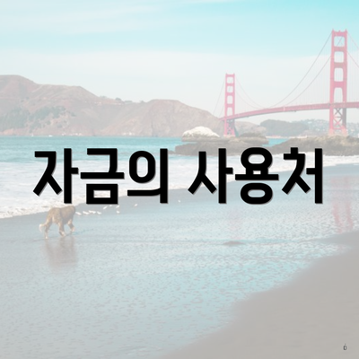 자금의 사용처