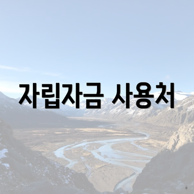 자립자금 사용처