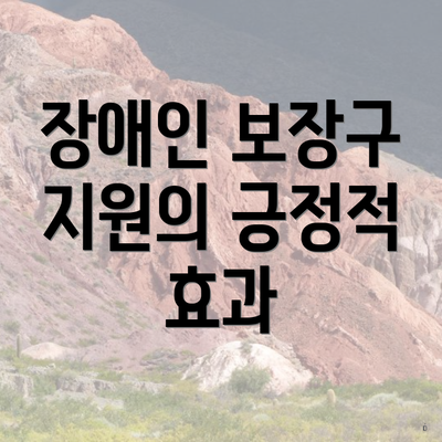 장애인 보장구 지원의 긍정적 효과