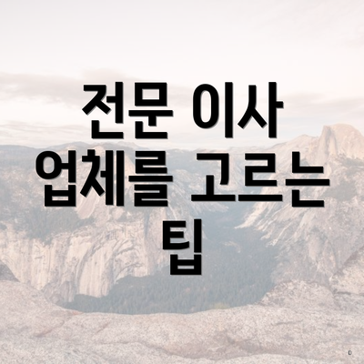 전문 이사 업체를 고르는 팁