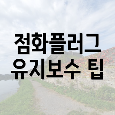 점화플러그 유지보수 팁