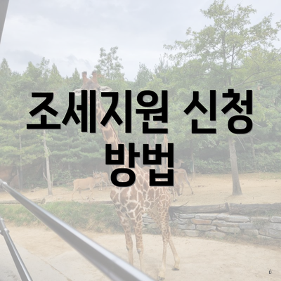 조세지원 신청 방법
