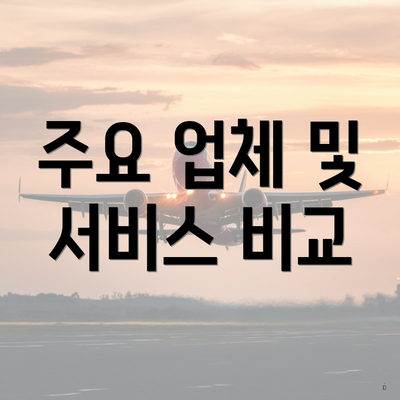 주요 업체 및 서비스 비교