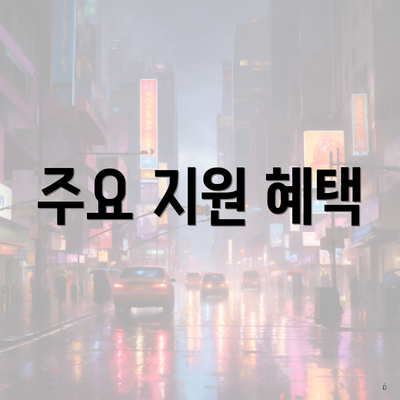 주요 지원 혜택