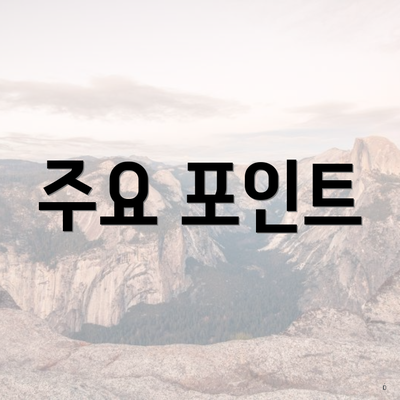주요 포인트