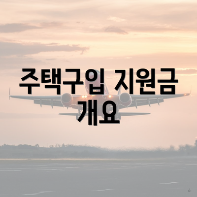 주택구입 지원금 개요