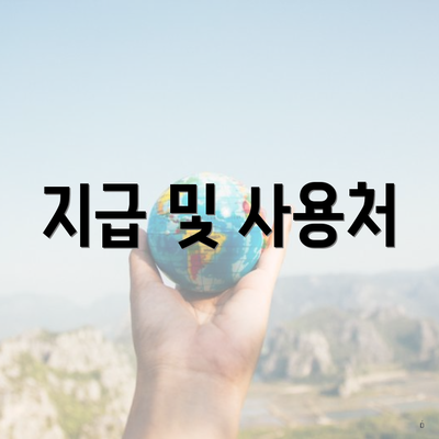 지급 및 사용처