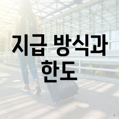 지급 방식과 한도