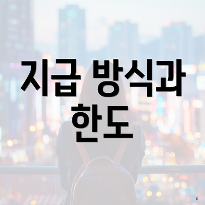 지급 방식과 한도