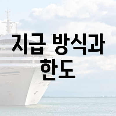 지급 방식과 한도